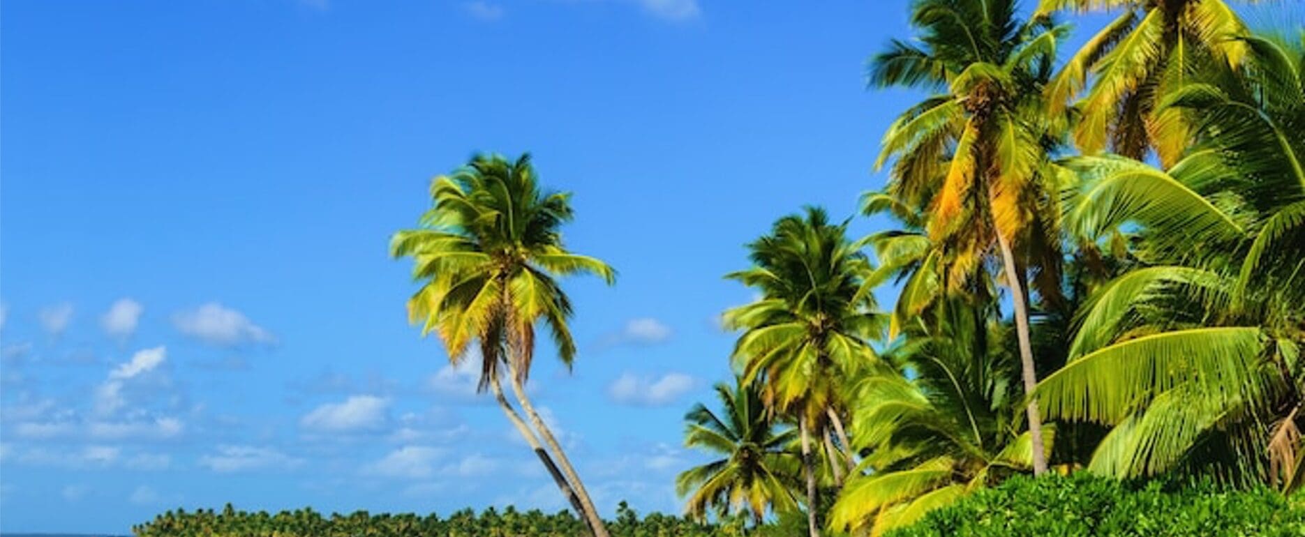 Ocean Holidays Case study